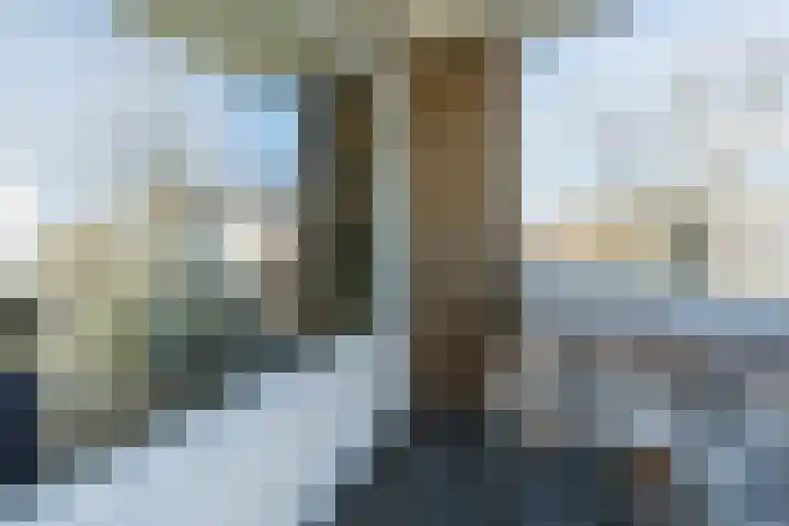 van Thienenlaan 3 Eindhoven thumbnail 31