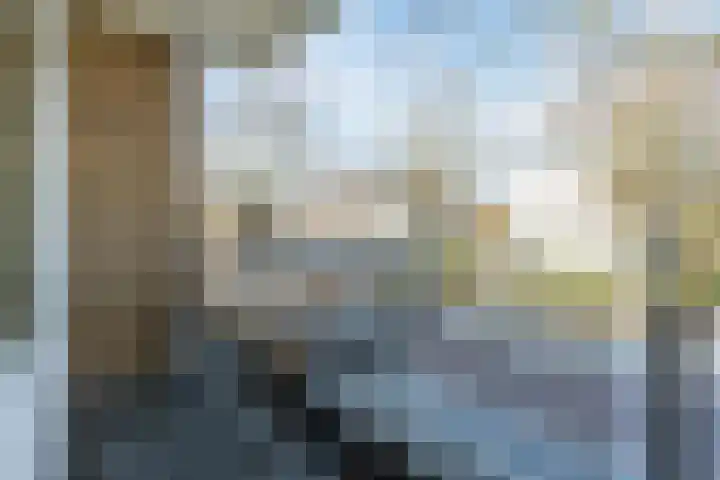 van Thienenlaan 3 Eindhoven thumbnail 32
