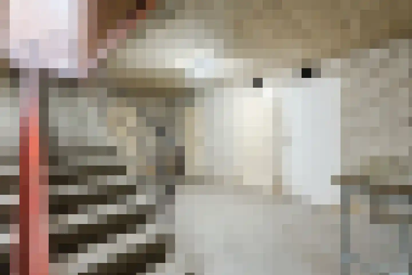 van Thienenlaan 3 Eindhoven thumbnail 35