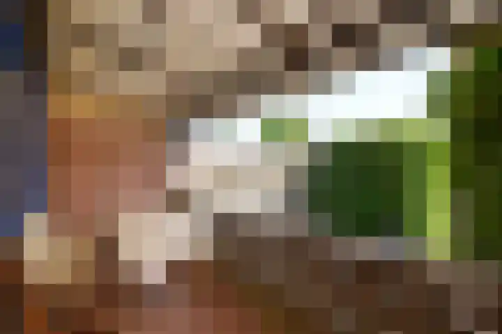 van Thimusstraat 3 Lemiers thumbnail 25