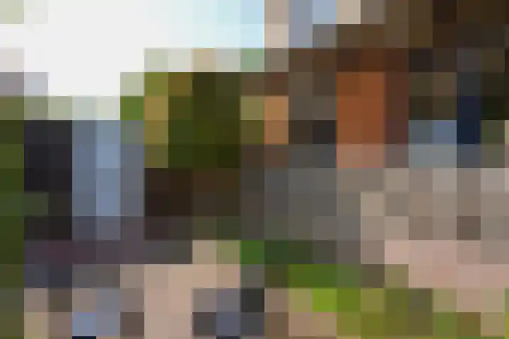 van Thimusstraat 3 Lemiers thumbnail 26