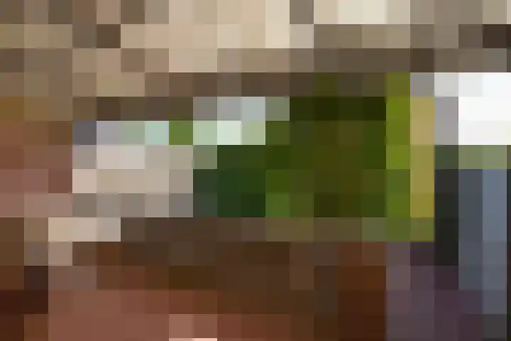 van Thimusstraat 3 Lemiers thumbnail 27