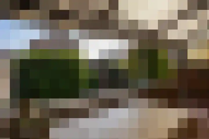 van Thimusstraat 3 Lemiers thumbnail 28