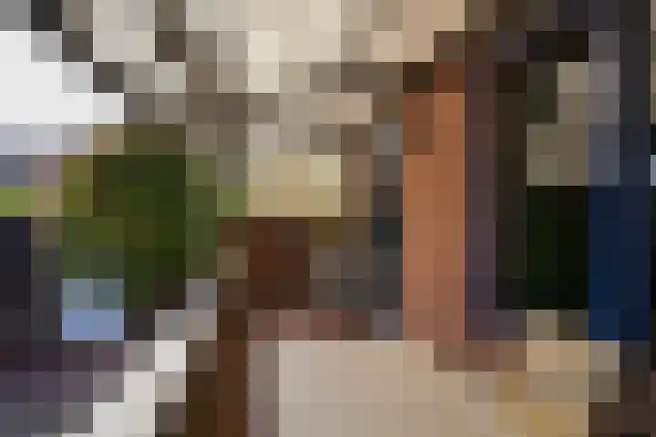 van Thimusstraat 3 Lemiers thumbnail 29