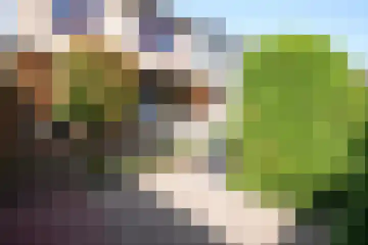 van Thimusstraat 3 Lemiers thumbnail 30