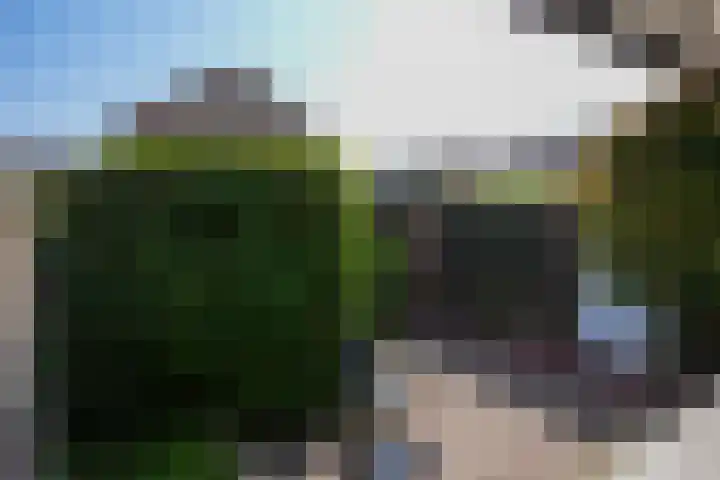 van Thimusstraat 3 Lemiers thumbnail 31