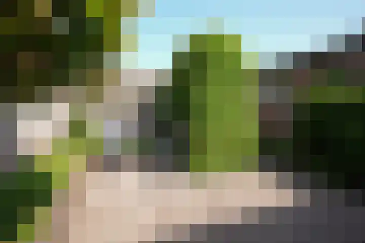 van Thimusstraat 3 Lemiers thumbnail 32