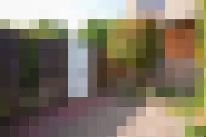 van Thimusstraat 3 Lemiers thumbnail 33