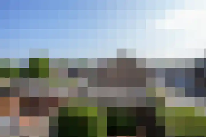 van Thimusstraat 3 Lemiers thumbnail 34