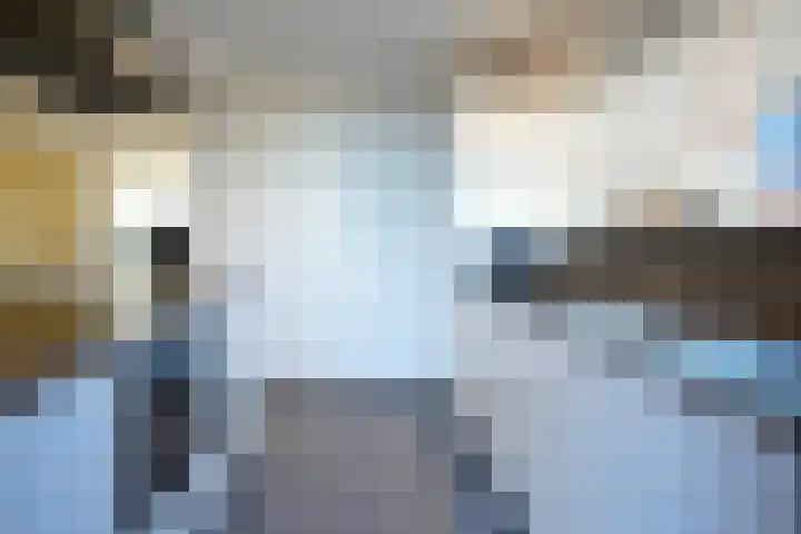 van Thimusstraat 5 Lemiers thumbnail 9