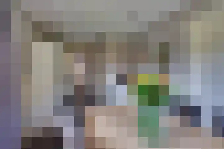 van Tienhoven van de Boogaardstraat 17 Werkendam thumbnail 10