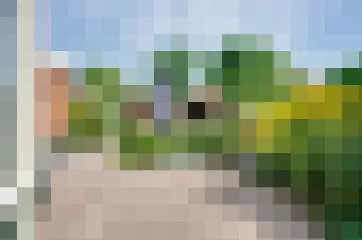 van Tienhoven van de Boogaardstraat 17 Werkendam thumbnail 17