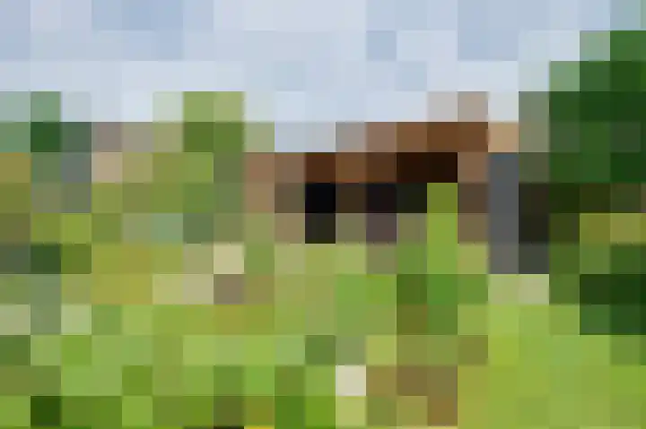 van Tienhoven van de Boogaardstraat 17 Werkendam thumbnail 20