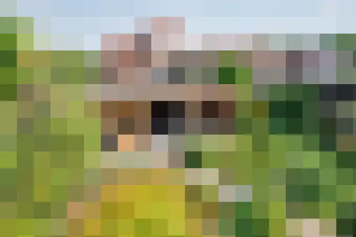 van Tienhoven van de Boogaardstraat 17 Werkendam thumbnail 22