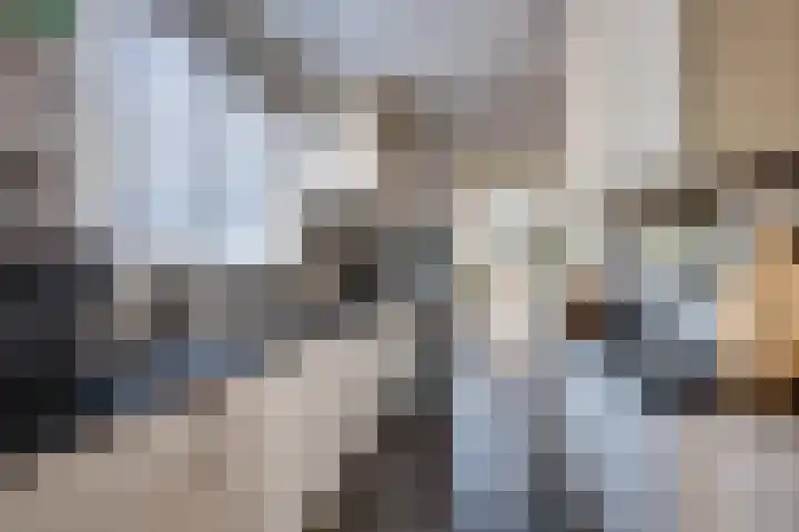 van Tienhoven van de Boogaardstraat 17 Werkendam thumbnail 7
