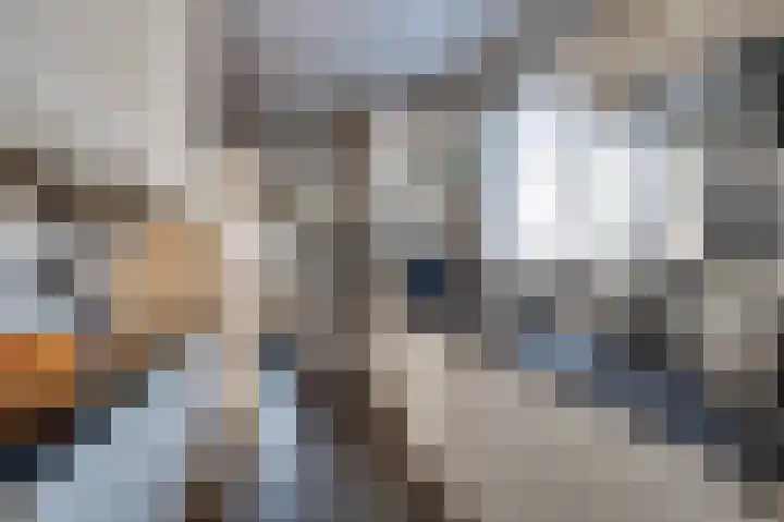 van Tienhoven van de Boogaardstraat 17 Werkendam thumbnail 8