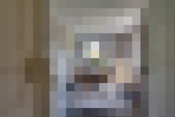 van Tienhoven van de Boogaardstraat 17 Werkendam thumbnail 9