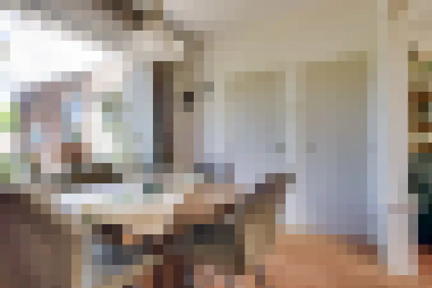 van Tienhoven van de Boogaardstraat 8 Werkendam thumbnail 13