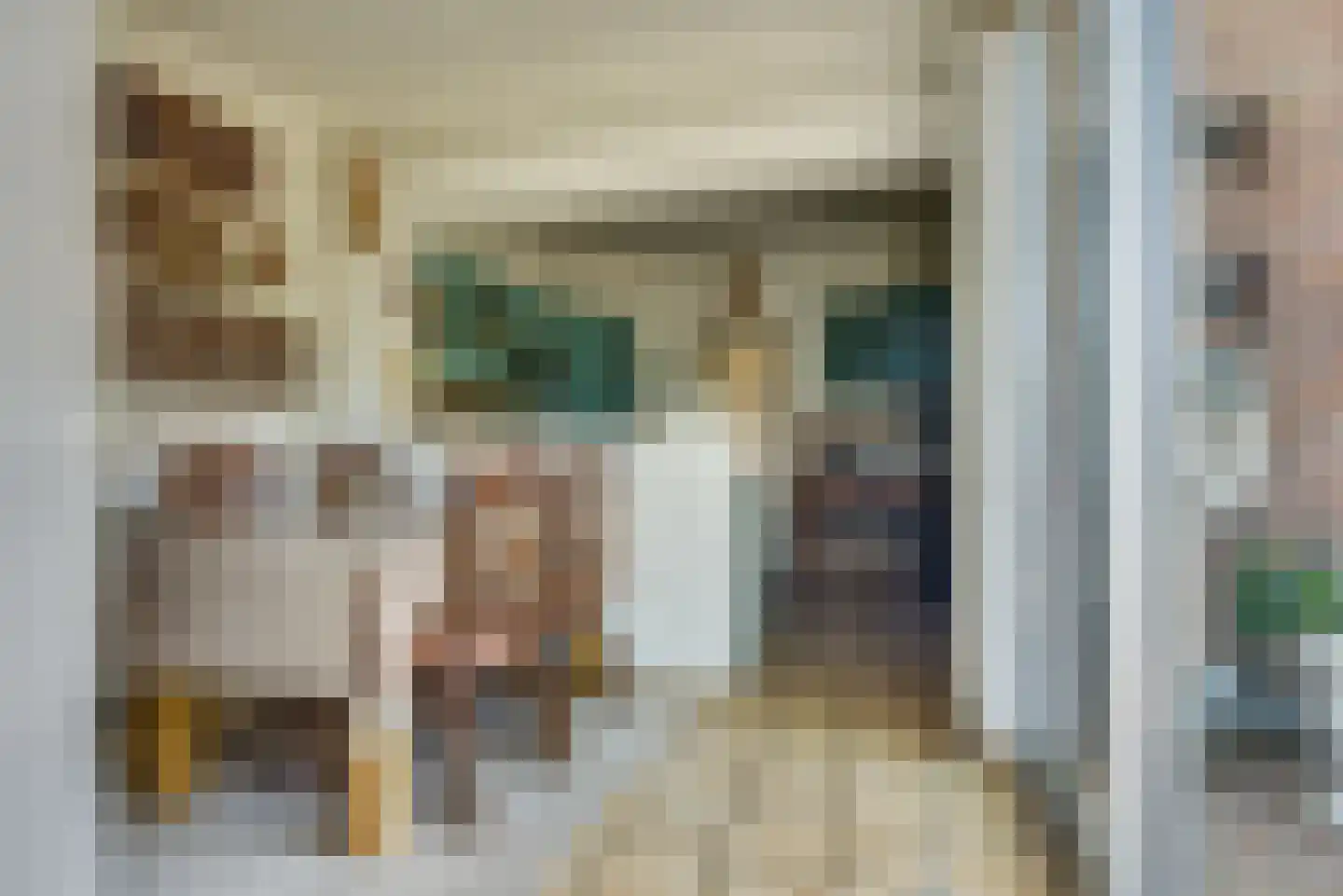 van Tienhoven van de Boogaardstraat 8 Werkendam thumbnail 16