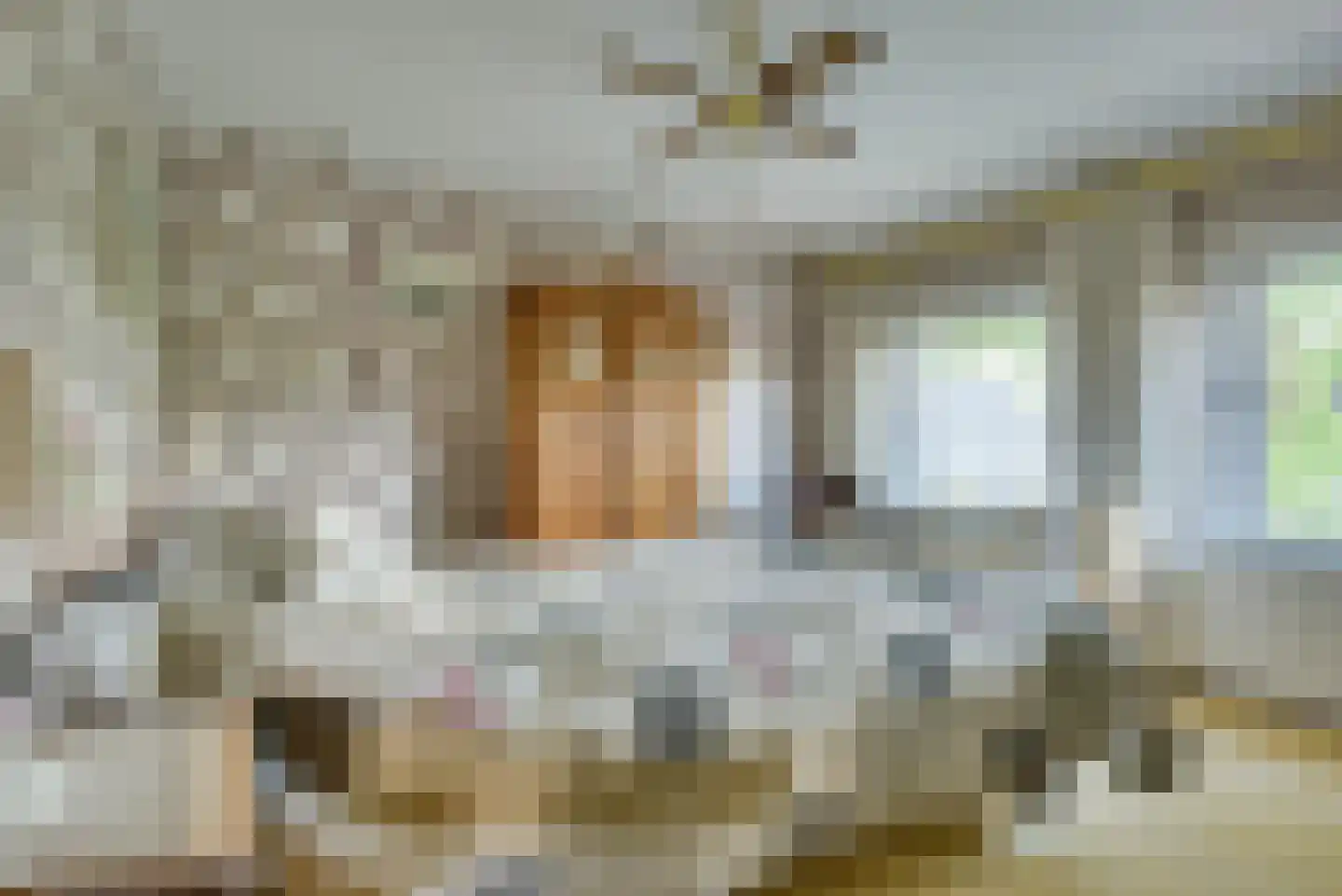 van Tienhoven van de Boogaardstraat 8 Werkendam thumbnail 19