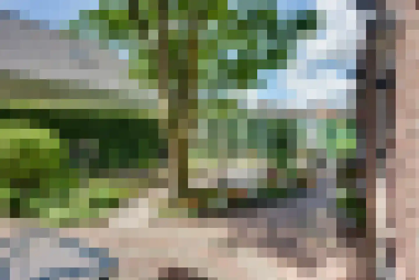 van Tienhoven van de Boogaardstraat 8 Werkendam thumbnail 28