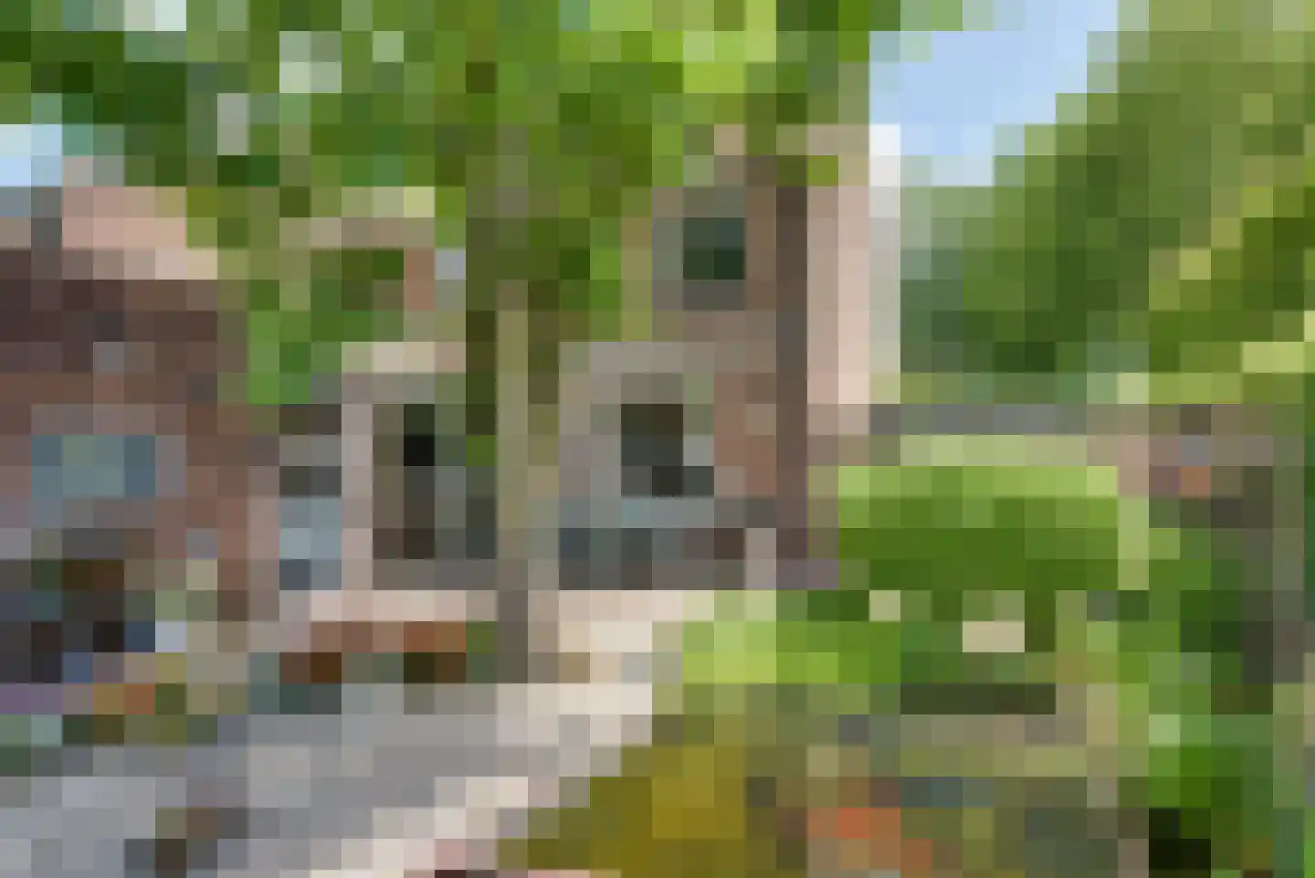 van Tienhoven van de Boogaardstraat 8 Werkendam thumbnail 30