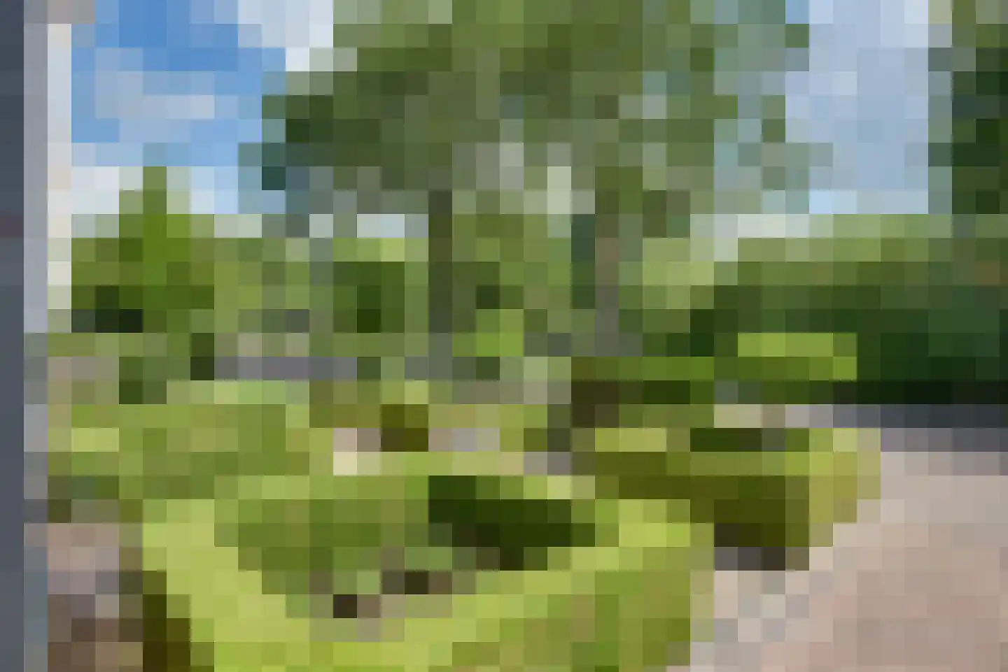 van Tienhoven van de Boogaardstraat 8 Werkendam thumbnail 32