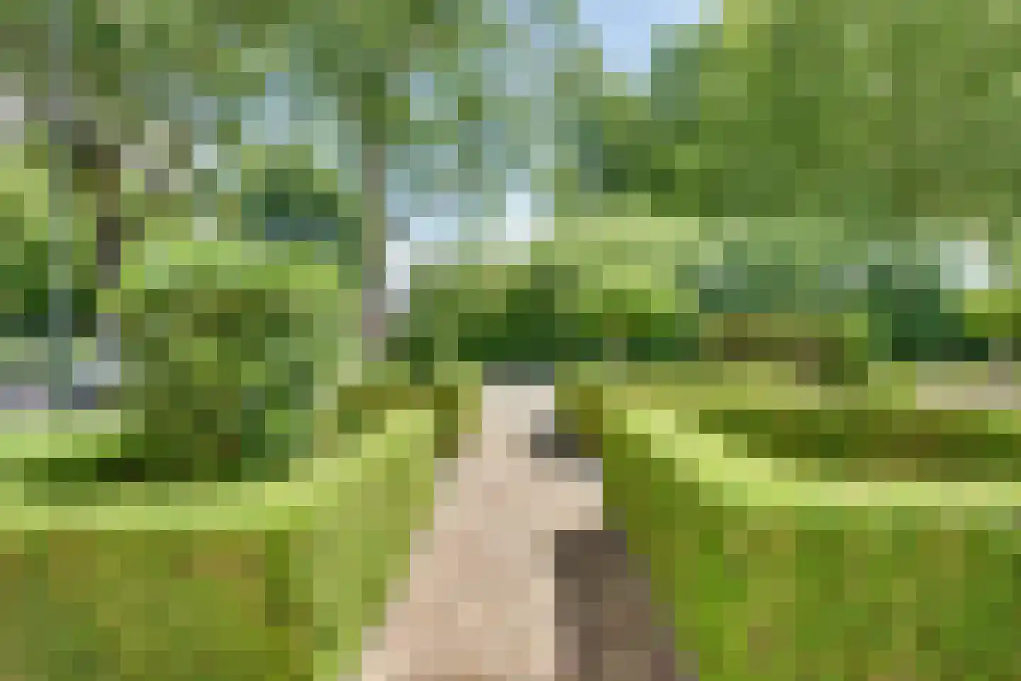 van Tienhoven van de Boogaardstraat 8 Werkendam thumbnail 33