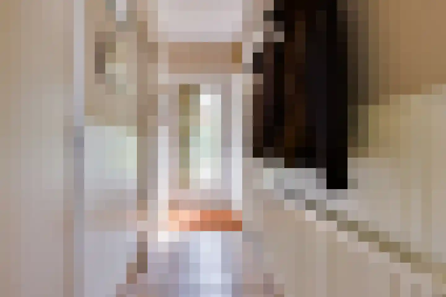 van Tienhoven van de Boogaardstraat 8 Werkendam thumbnail 7