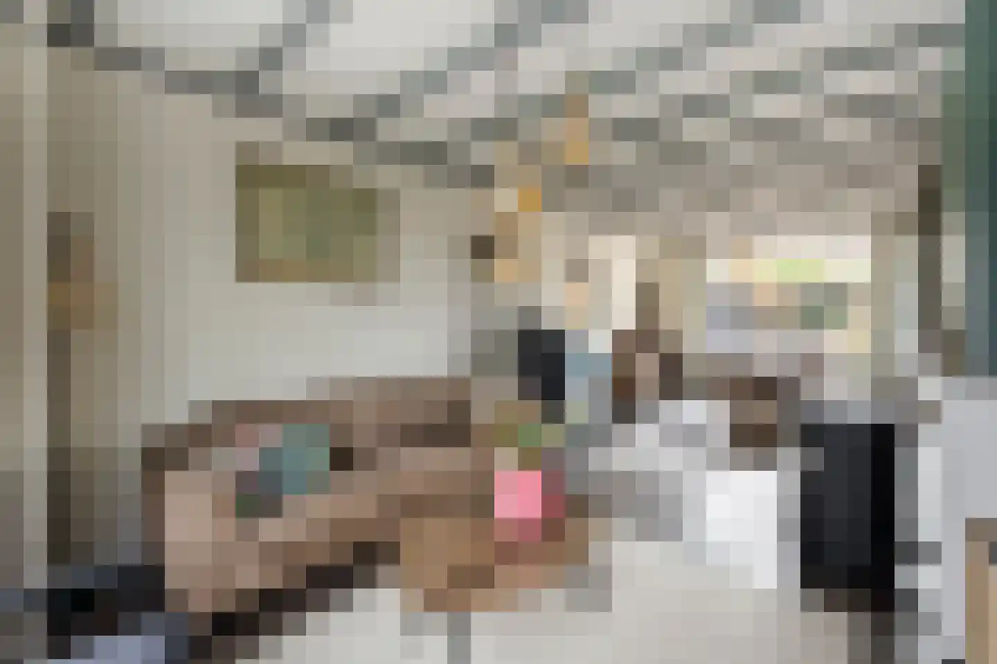 van Tienhoven van de Boogaardstraat 9 Werkendam thumbnail 16