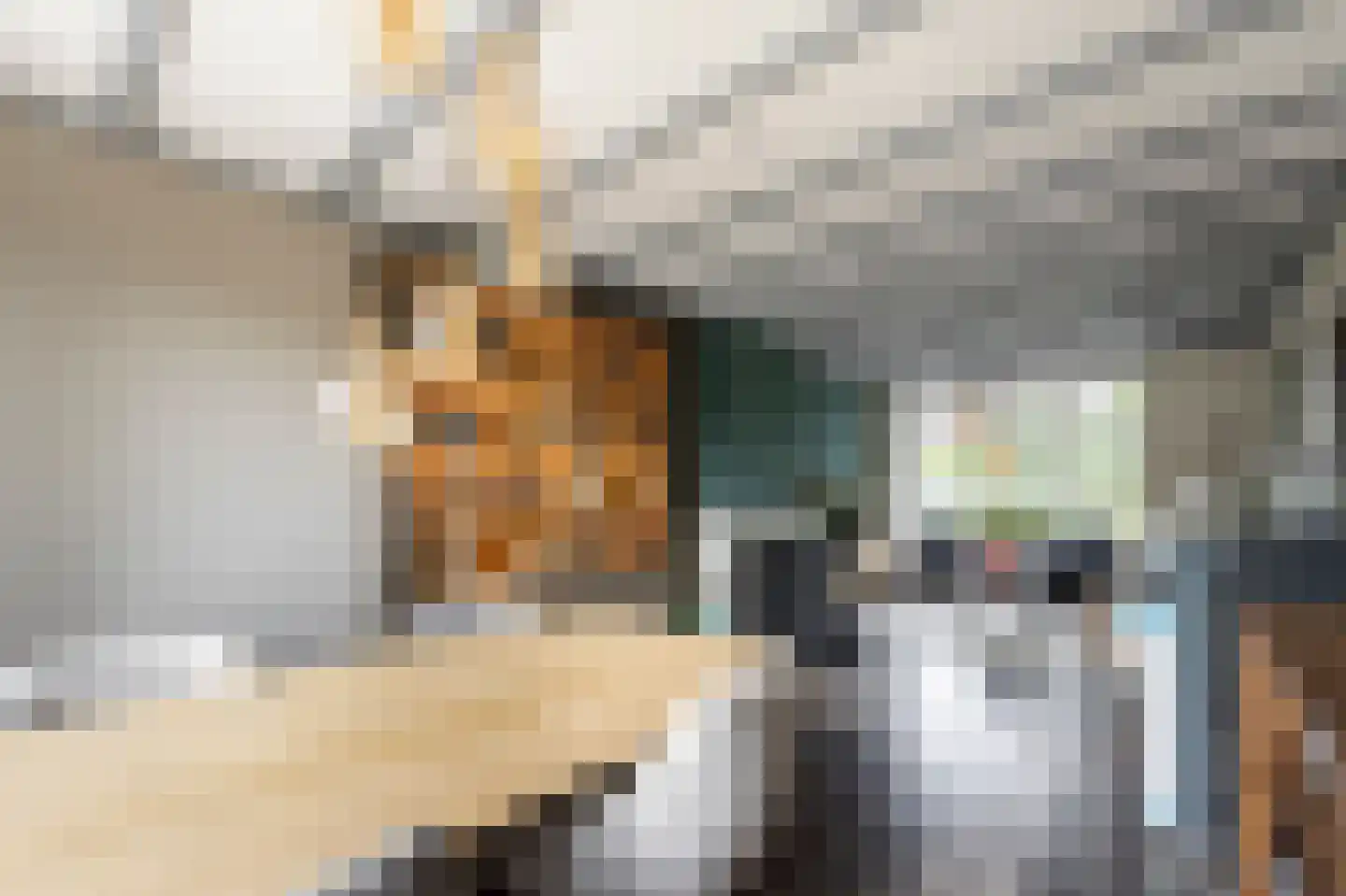 van Tienhoven van de Boogaardstraat 9 Werkendam thumbnail 18