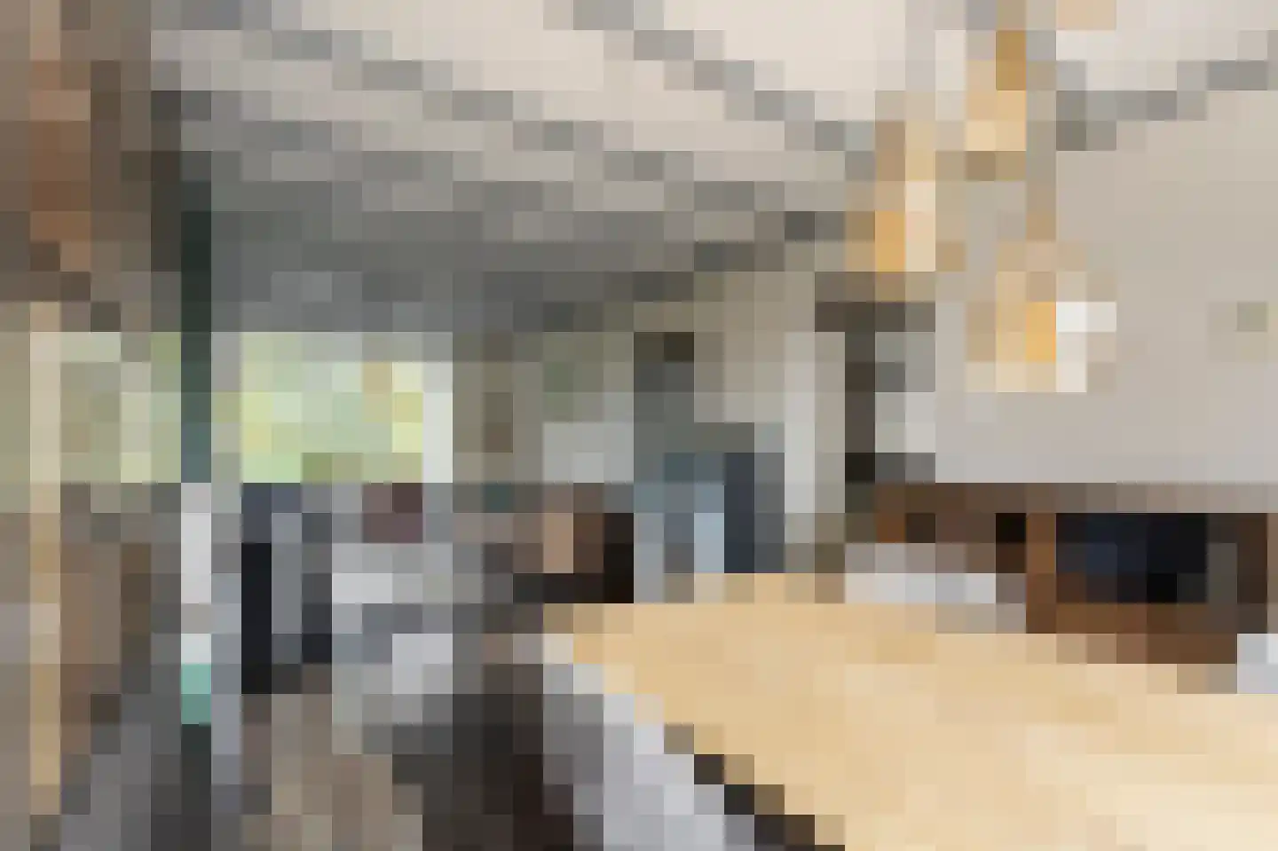 van Tienhoven van de Boogaardstraat 9 Werkendam thumbnail 19
