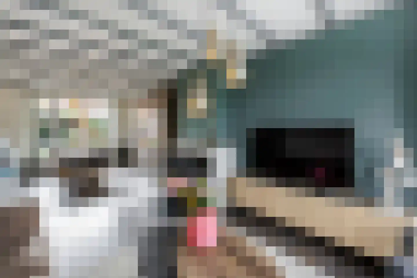 van Tienhoven van de Boogaardstraat 9 Werkendam thumbnail 20