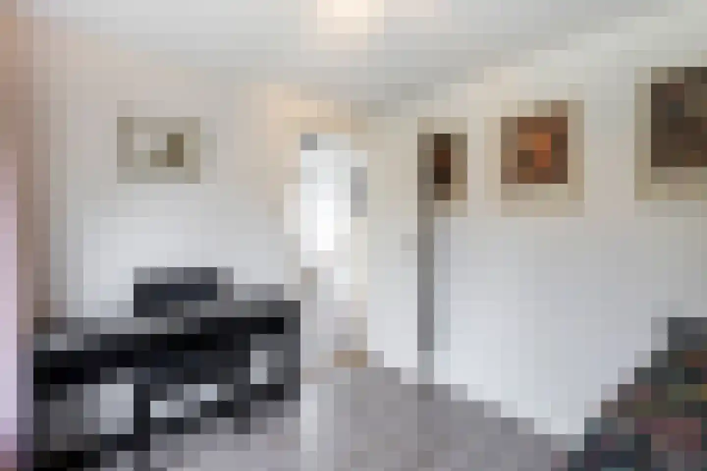 van Tienhoven van de Boogaardstraat 9 Werkendam thumbnail 34
