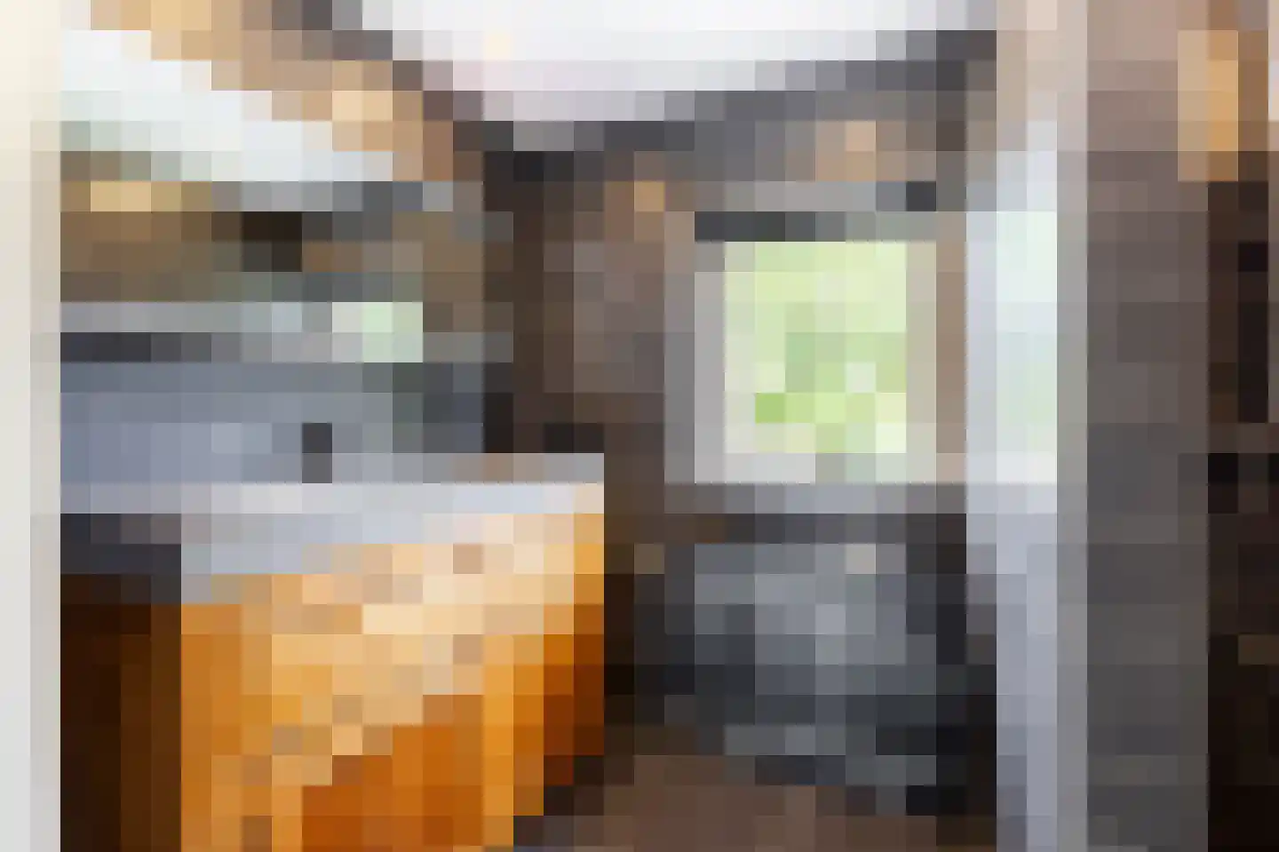 van Tienhoven van de Boogaardstraat 9 Werkendam thumbnail 35