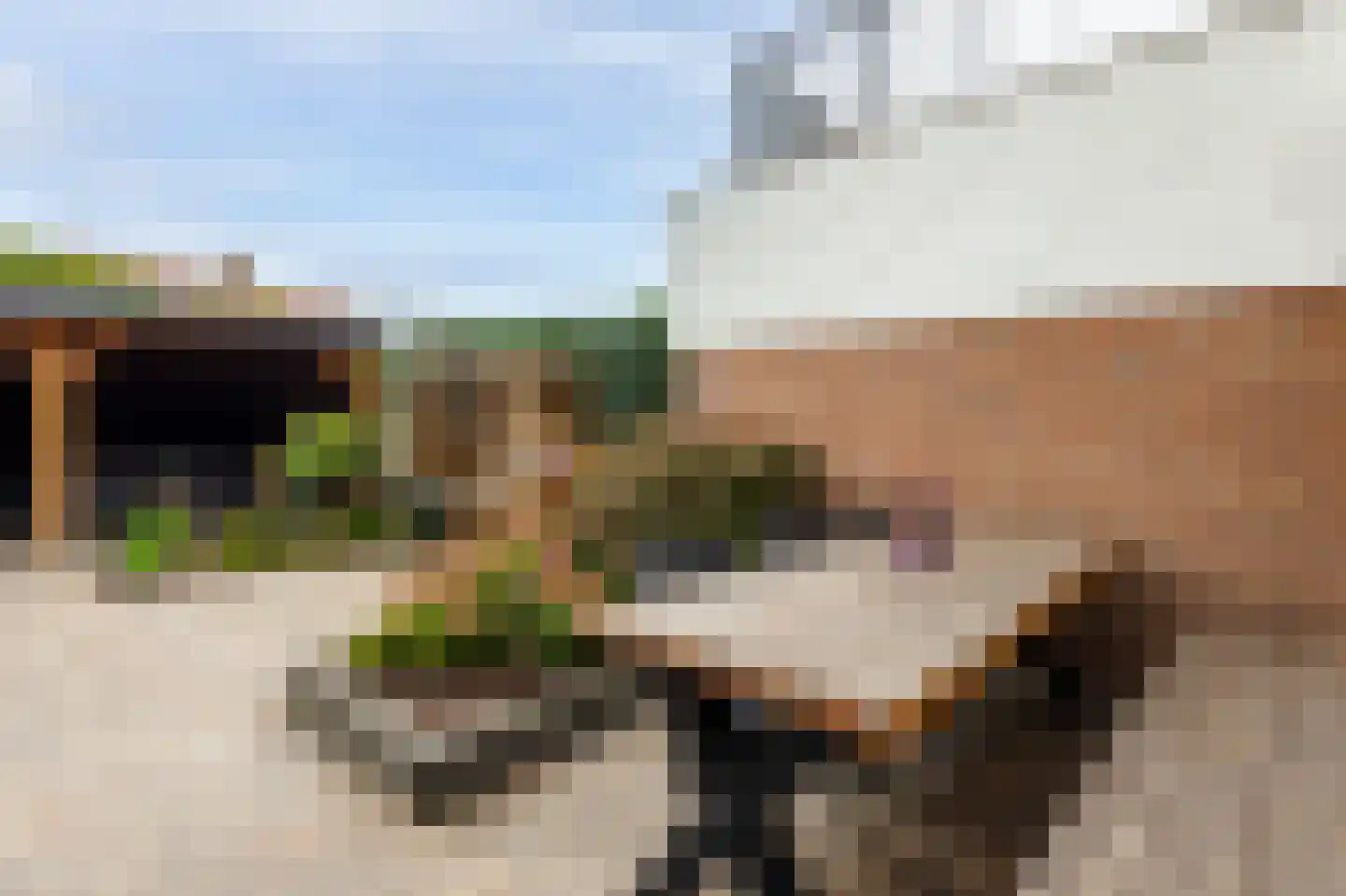 van Tienhoven van de Boogaardstraat 9 Werkendam thumbnail 44