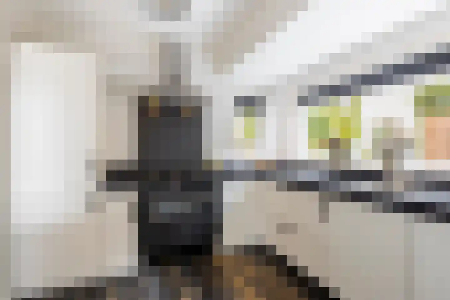 van Tienhoven van de Boogaardstraat 9 Werkendam thumbnail 7