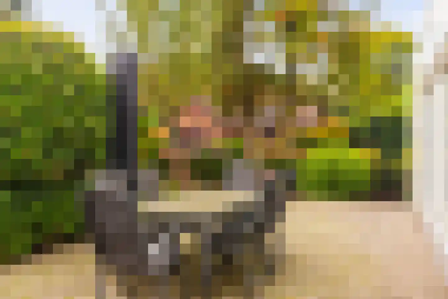 van Tienhovenlaan 10 Doetinchem thumbnail 37
