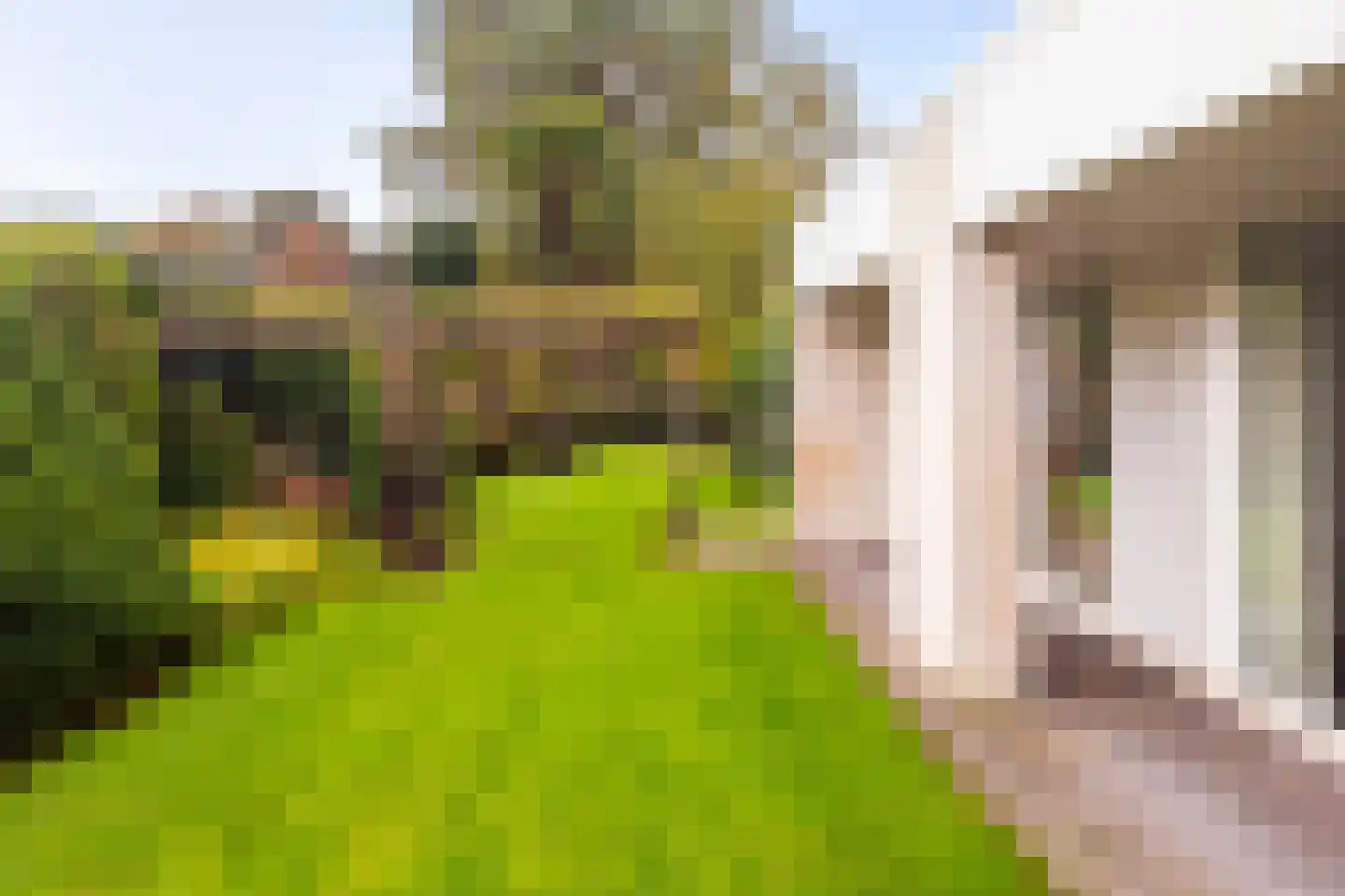 van Tienhovenlaan 10 Doetinchem thumbnail 46