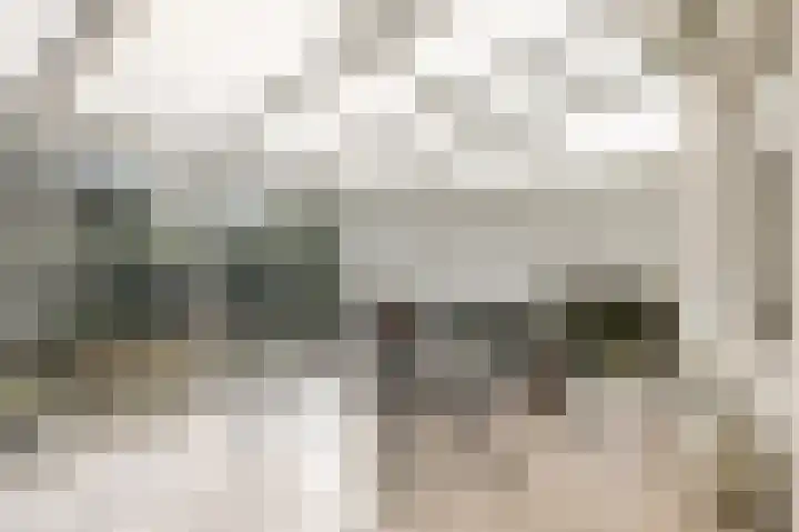 Van Tienhovenlaan 14 Velp thumbnail 10