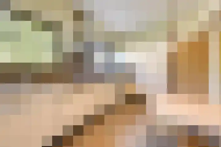 Van Tienhovenlaan 14 Velp thumbnail 12