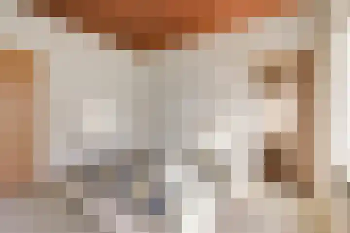Van Tienhovenlaan 14 Velp thumbnail 18