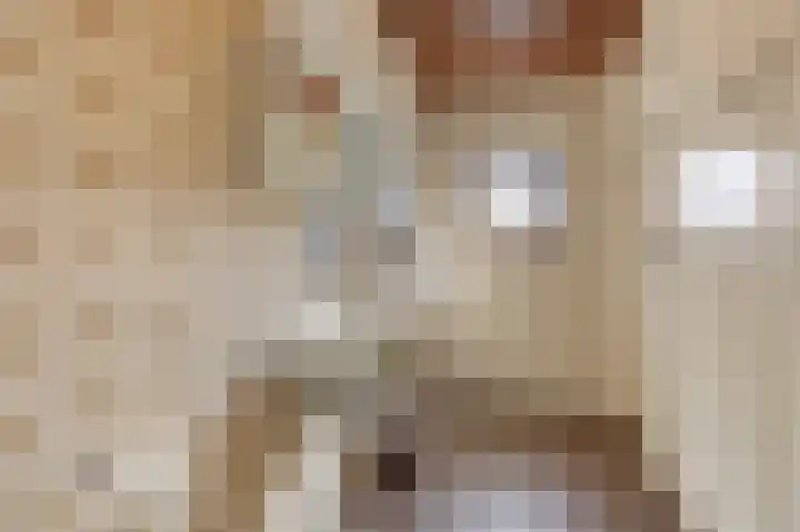 Van Tienhovenlaan 14 Velp thumbnail 19