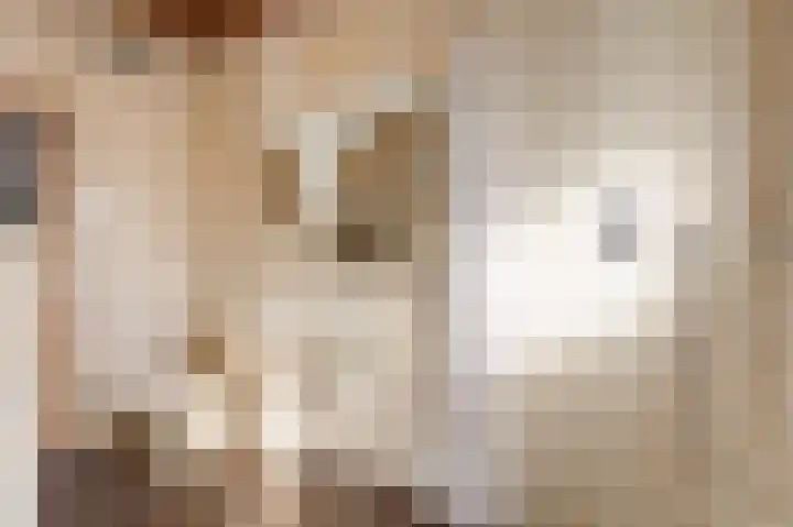Van Tienhovenlaan 14 Velp thumbnail 20