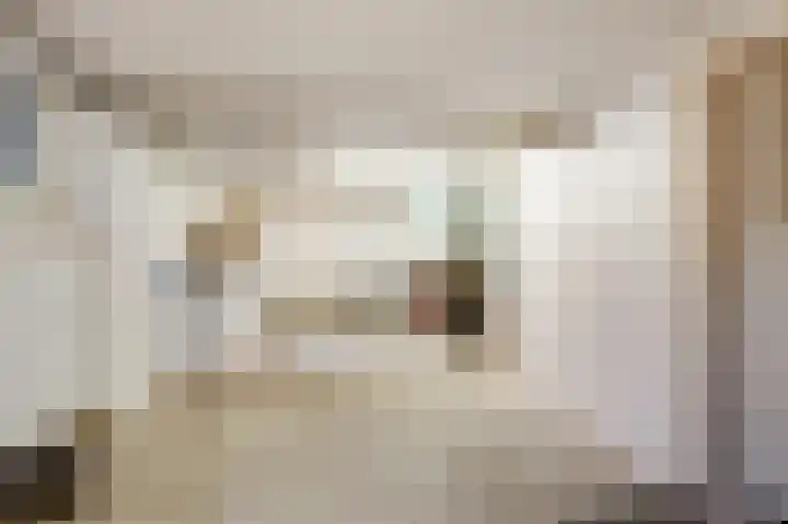 Van Tienhovenlaan 14 Velp thumbnail 26