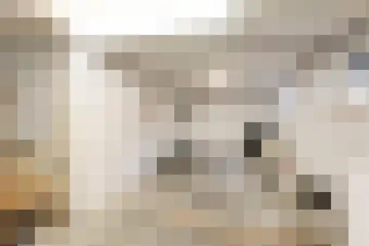 Van Tienhovenlaan 14 Velp thumbnail 27