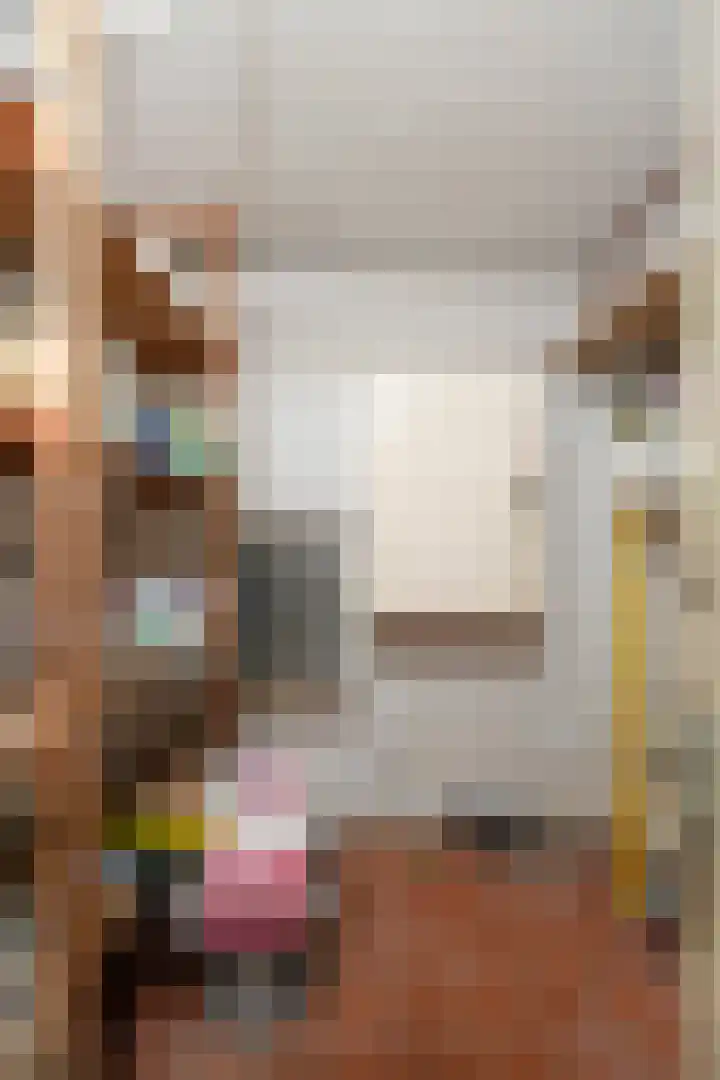 Van Tienhovenlaan 14 Velp thumbnail 28