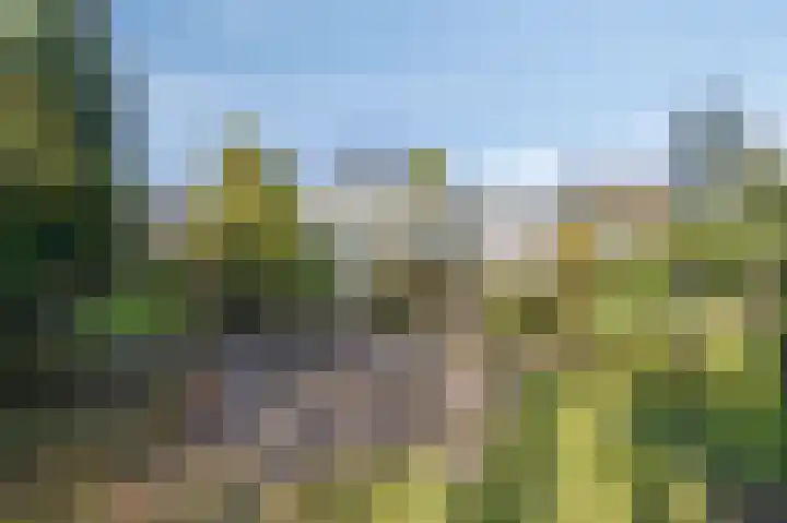 Van Tienhovenlaan 14 Velp thumbnail 29