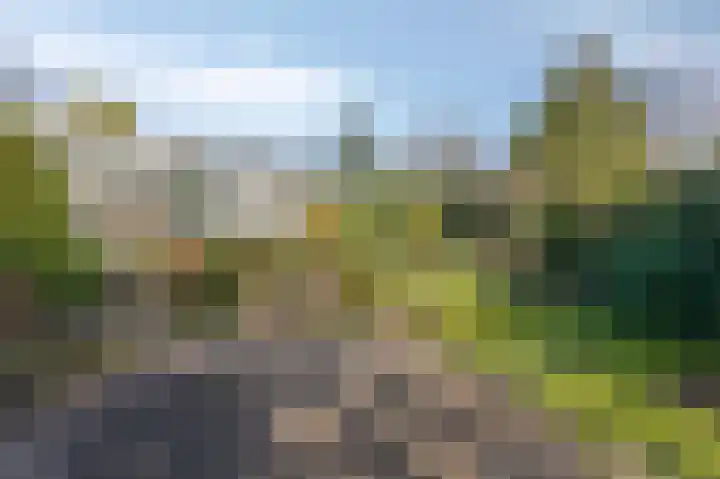 Van Tienhovenlaan 14 Velp thumbnail 30
