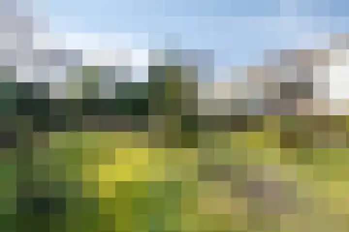 Van Tienhovenlaan 14 Velp thumbnail 31